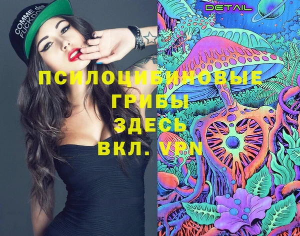 круглые Аркадак