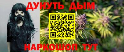 индика Братск