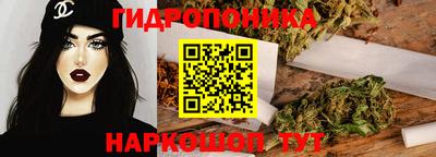 индика Бердск