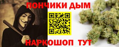 индика Бердск